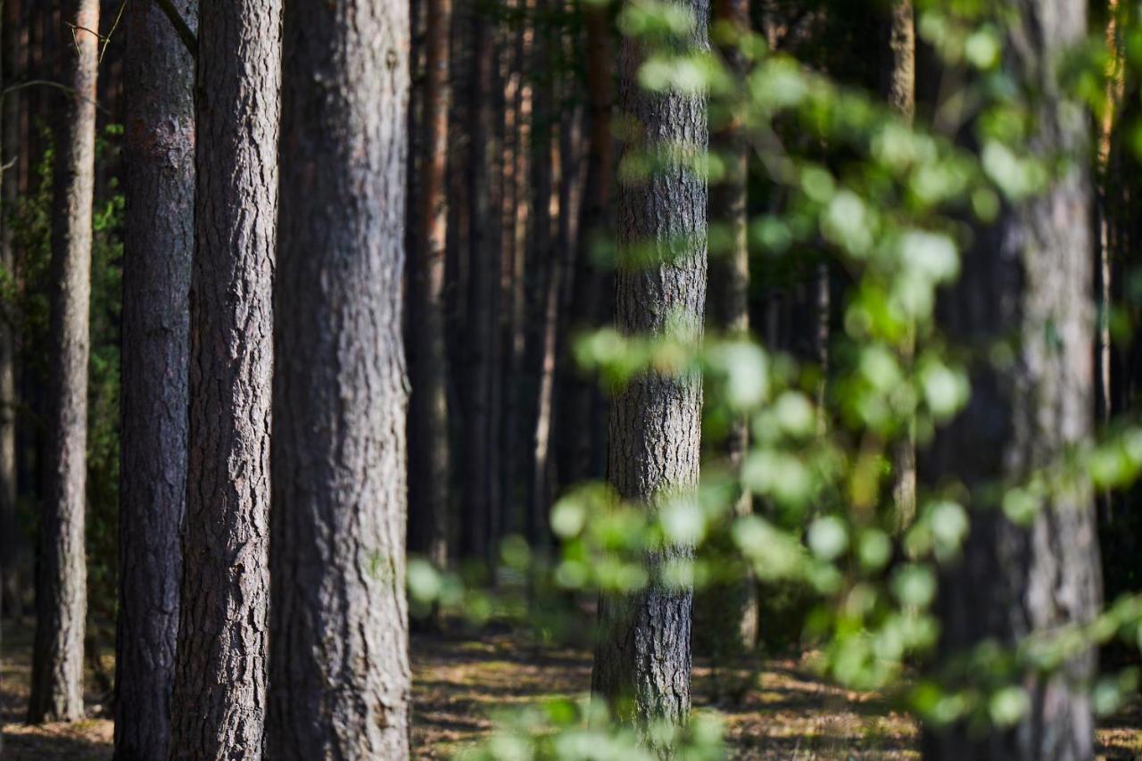 Willa Nowa Stodoła Kuligow Zewnętrze zdjęcie
